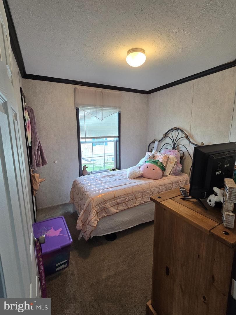 37 Meadowview Drive photo 10