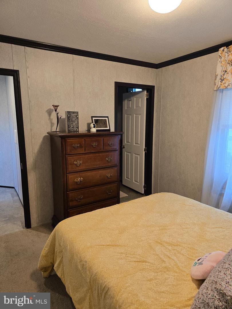 37 Meadowview Drive photo 13