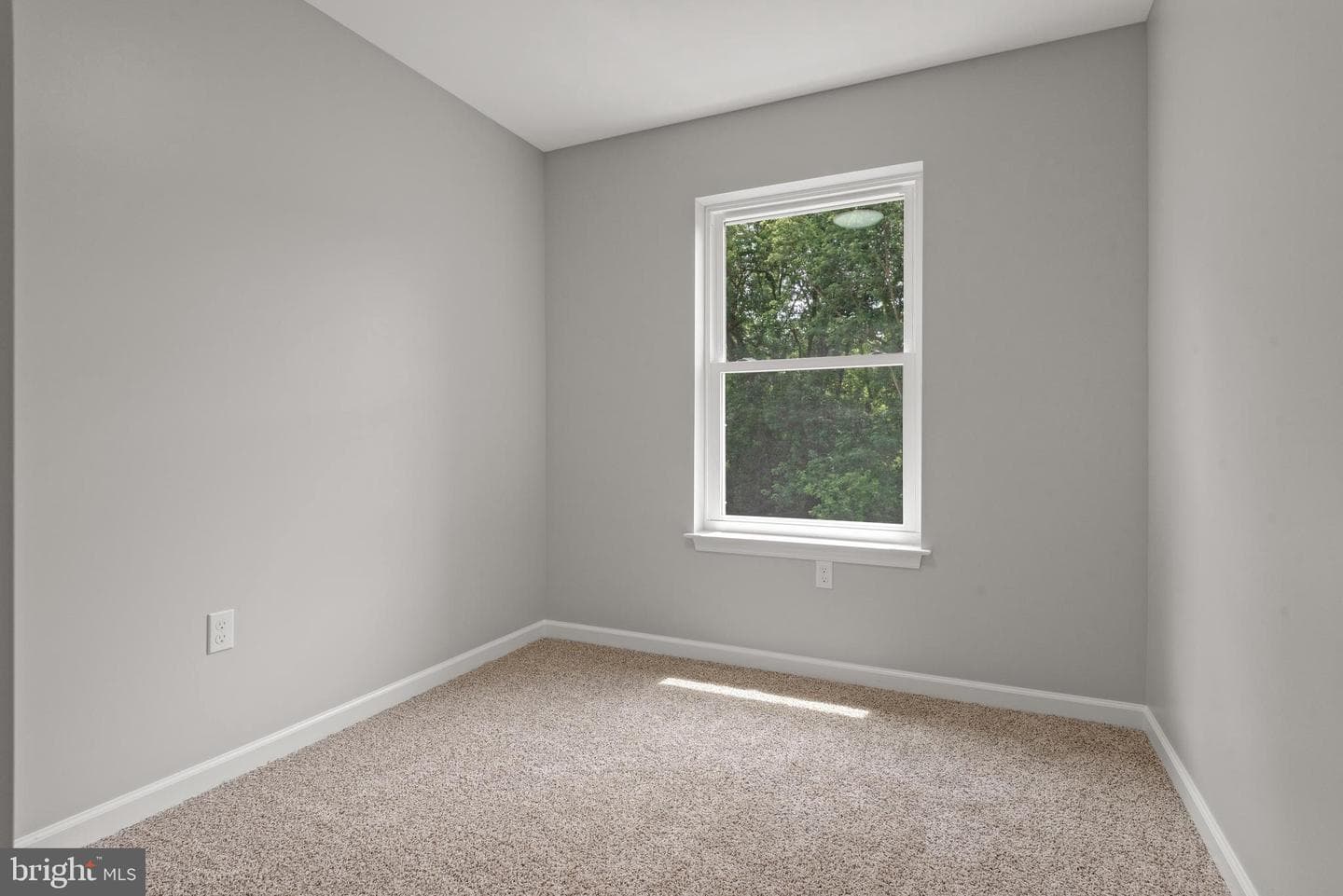 52 Petersburg Lane photo 24
