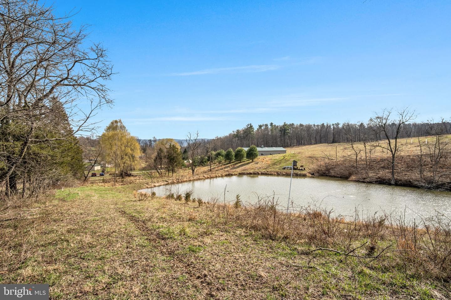 6196 Waggoners Gap Road photo 56