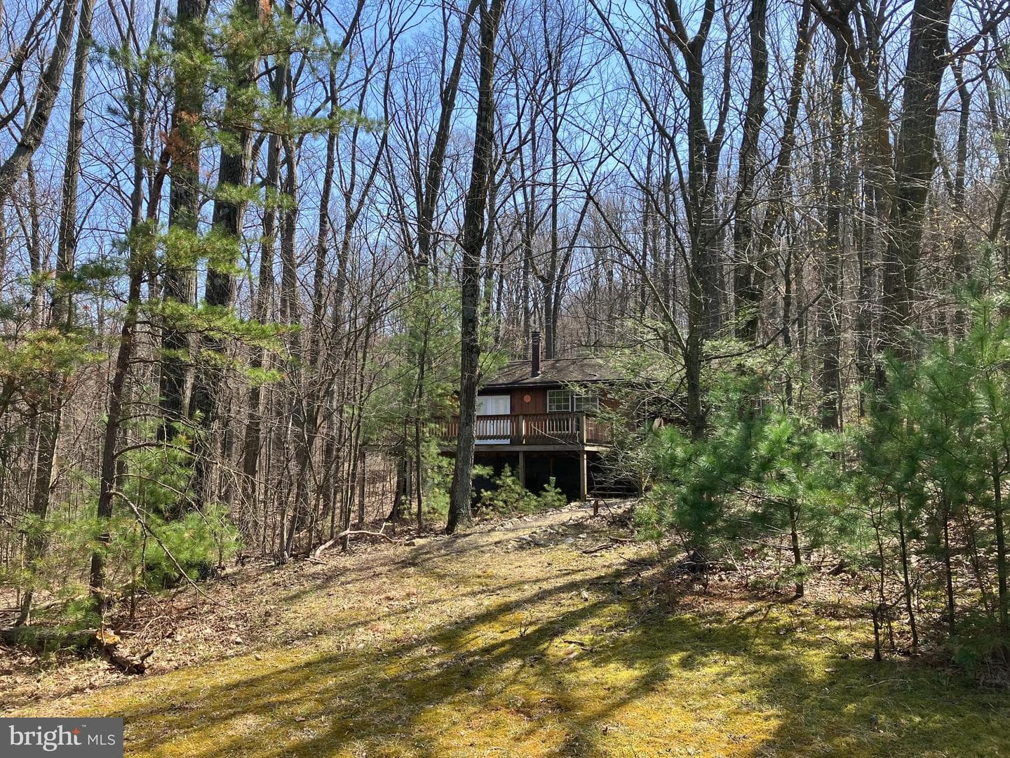 252 Concord Drive photo 15