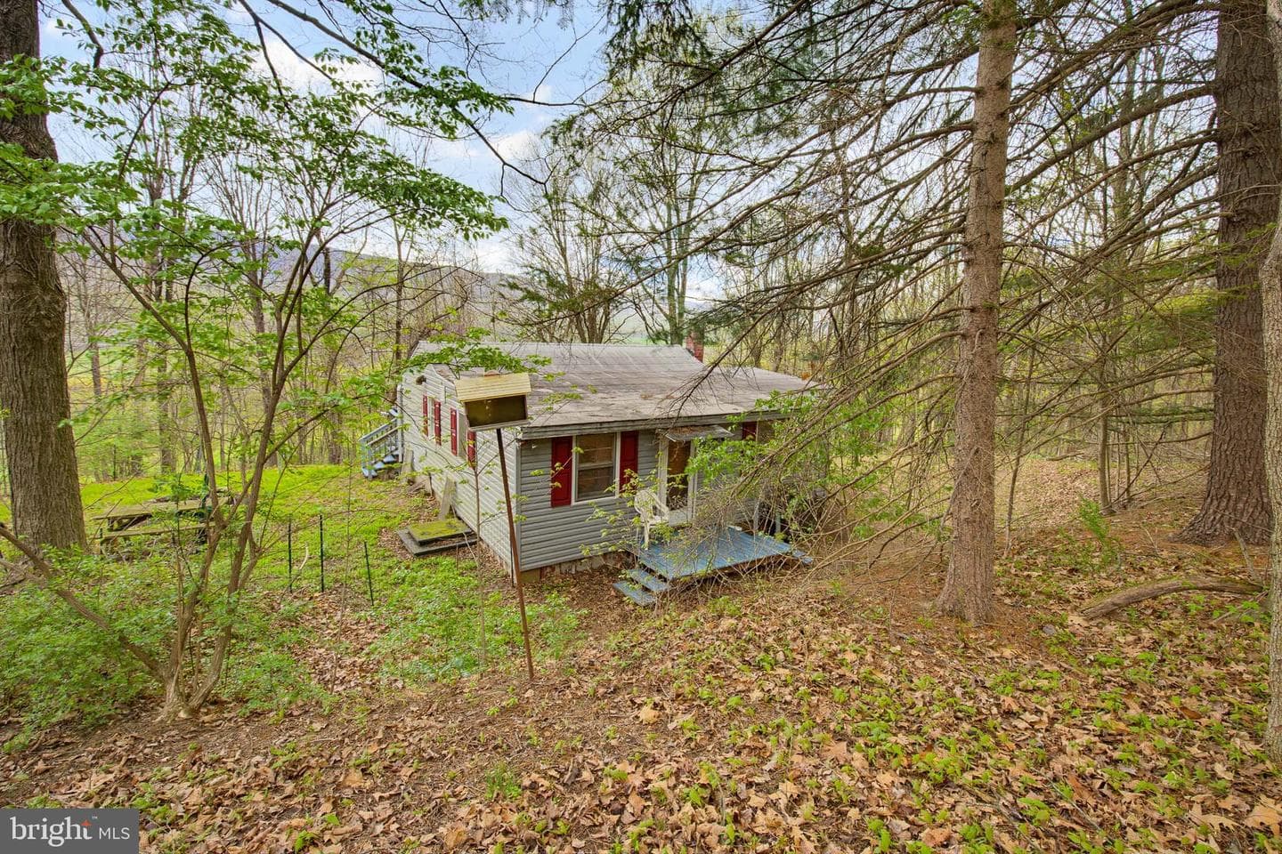 149 Cabin Lane photo 12