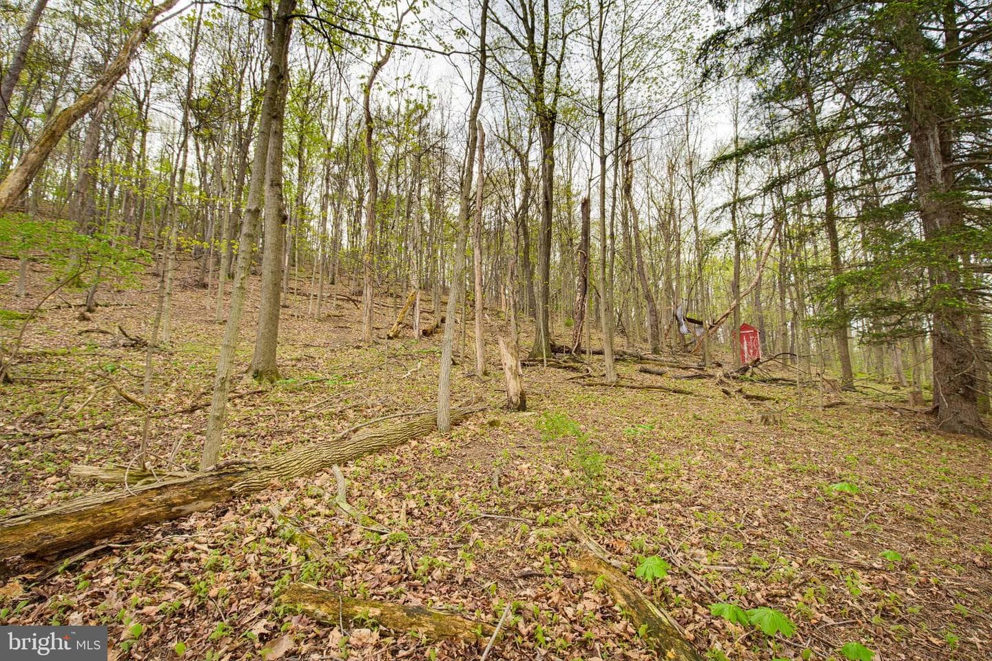 149 Cabin Lane photo 16