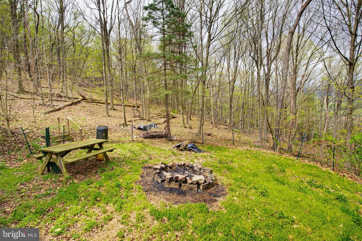 149 Cabin Lane photo 19