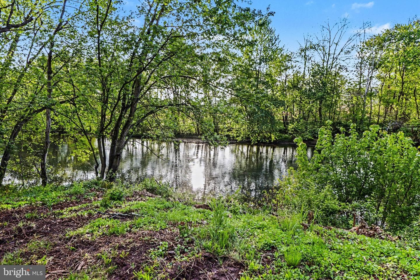 104 Dellville Dam Road photo 5