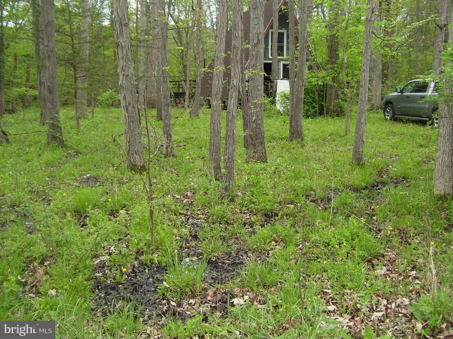 75 Wolfgang Lane photo 6