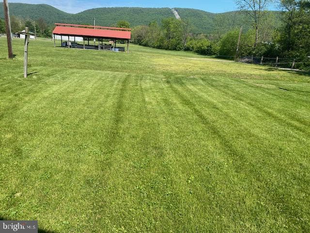10308 Raccoon Valley Road photo 6