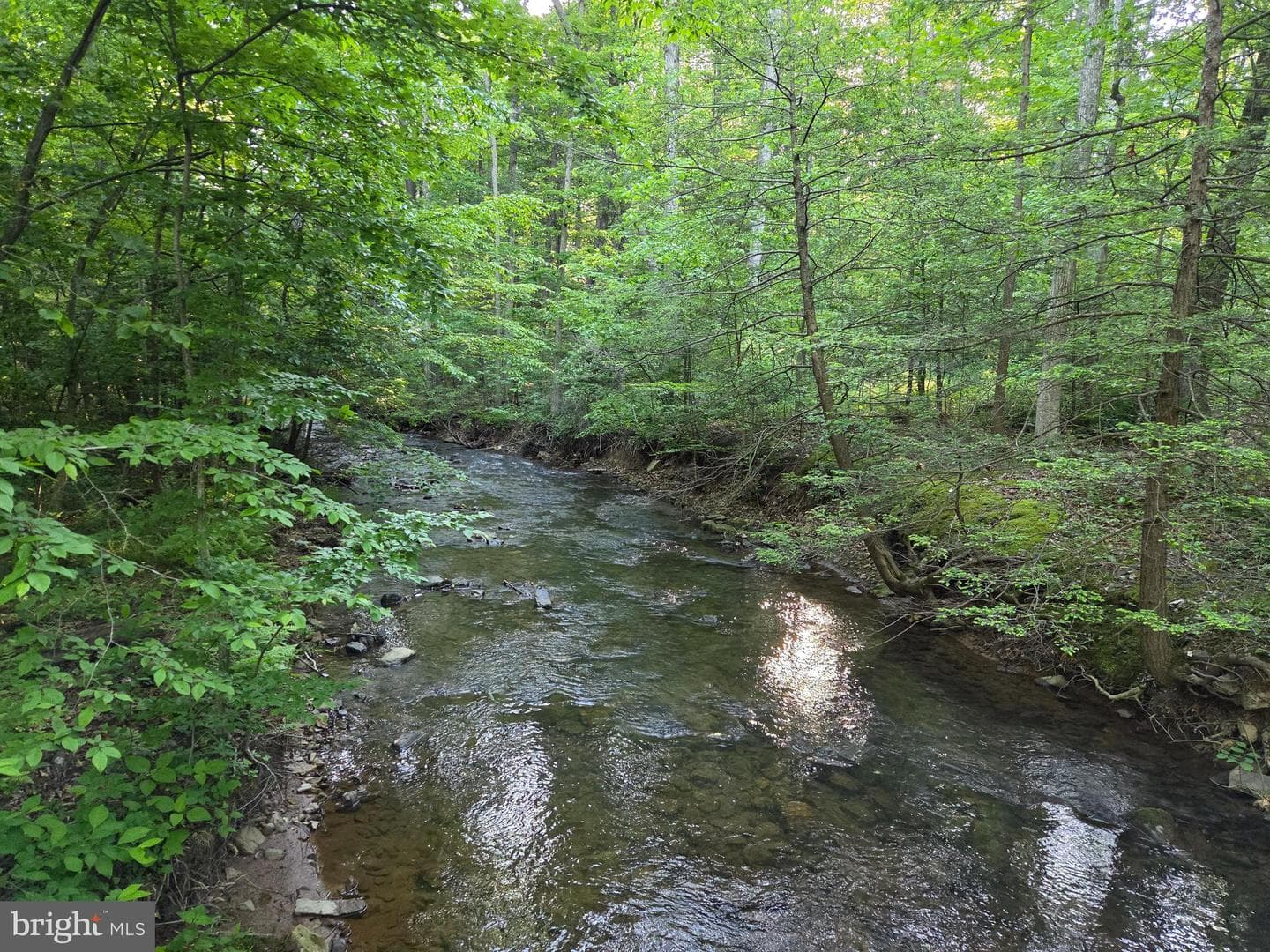 45 Cabin Creek Rd photo 16