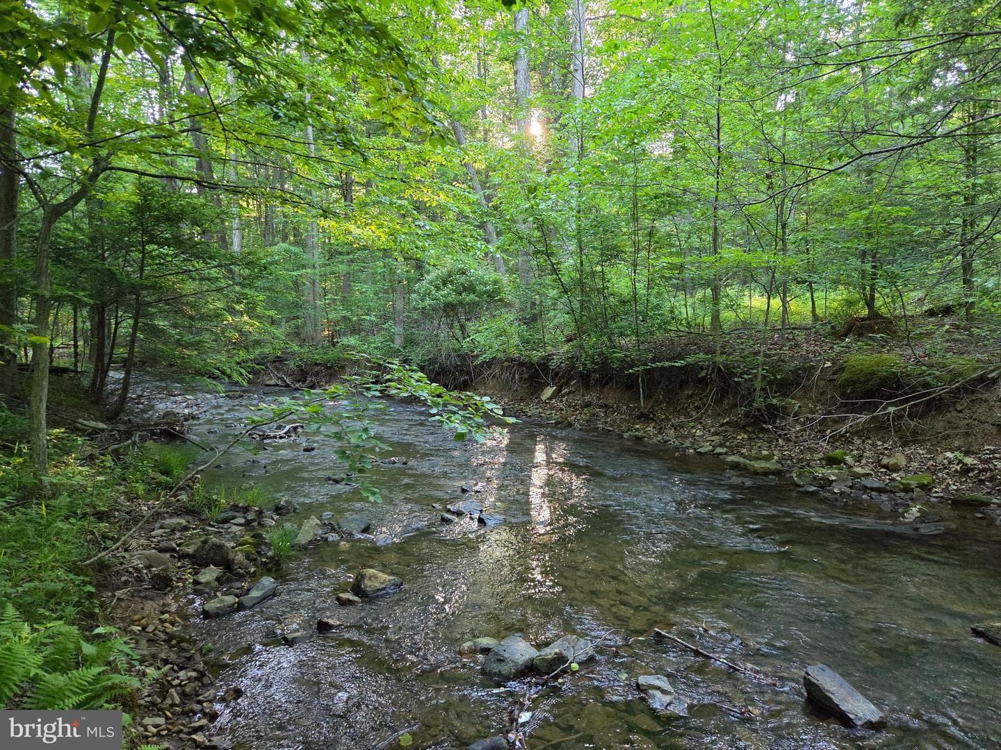 45 Cabin Creek Rd photo 17