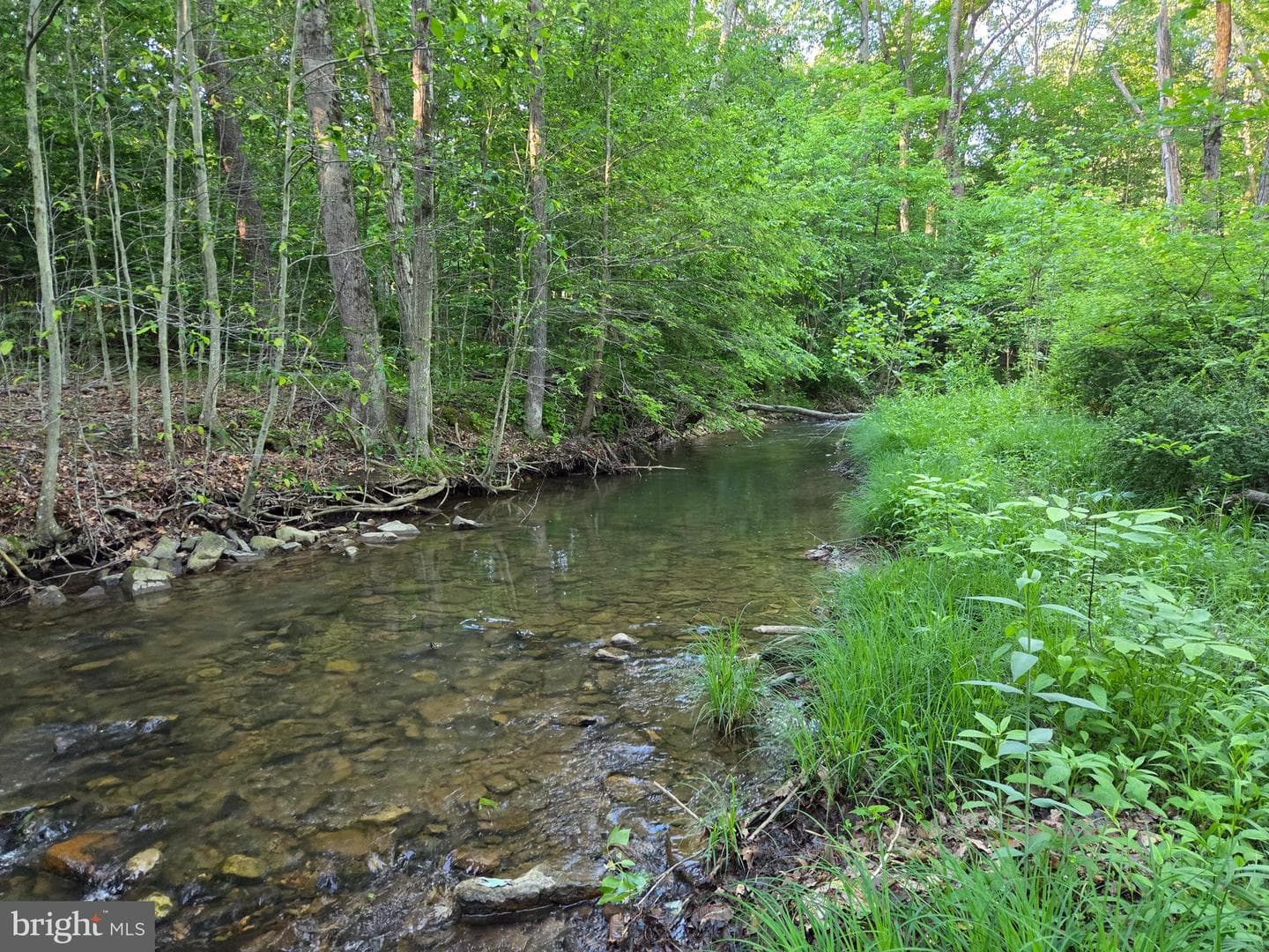 45 Cabin Creek Rd photo 18
