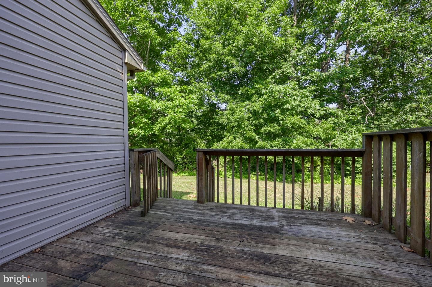 232 Whitetail Terrace photo 37