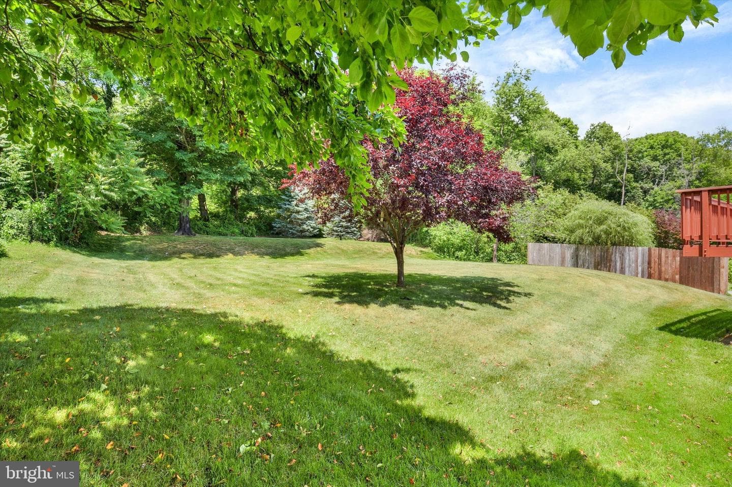 1203 Lincoln Street photo 25