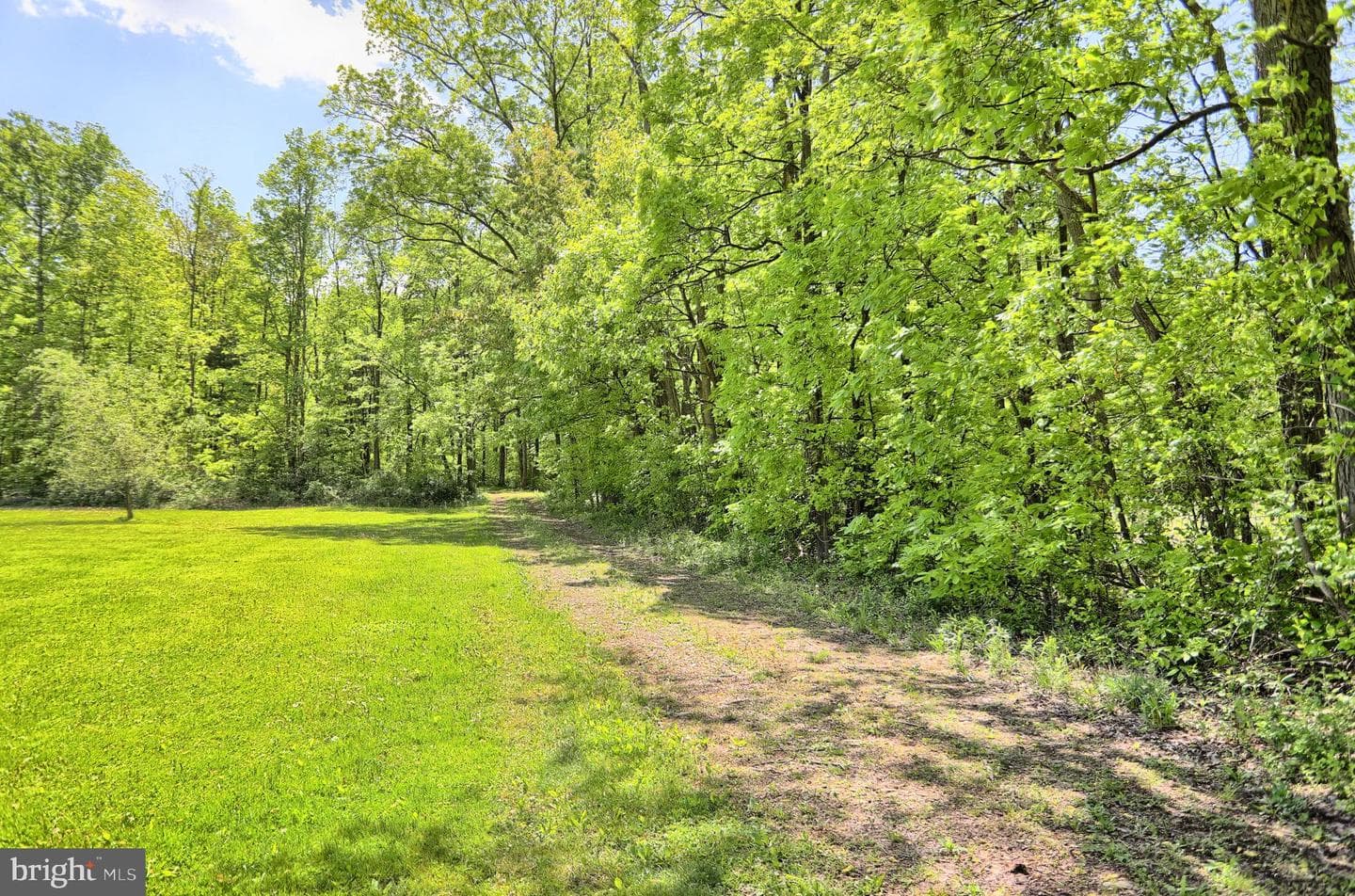 4909 Raccoon Valley Rd photo 52