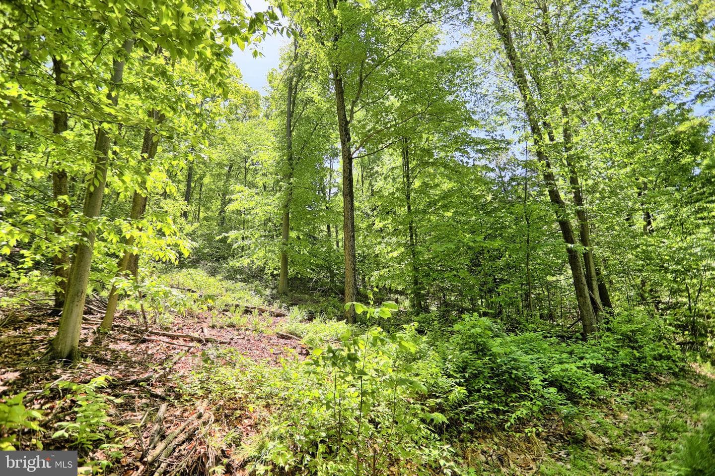 4909 Raccoon Valley Rd photo 66