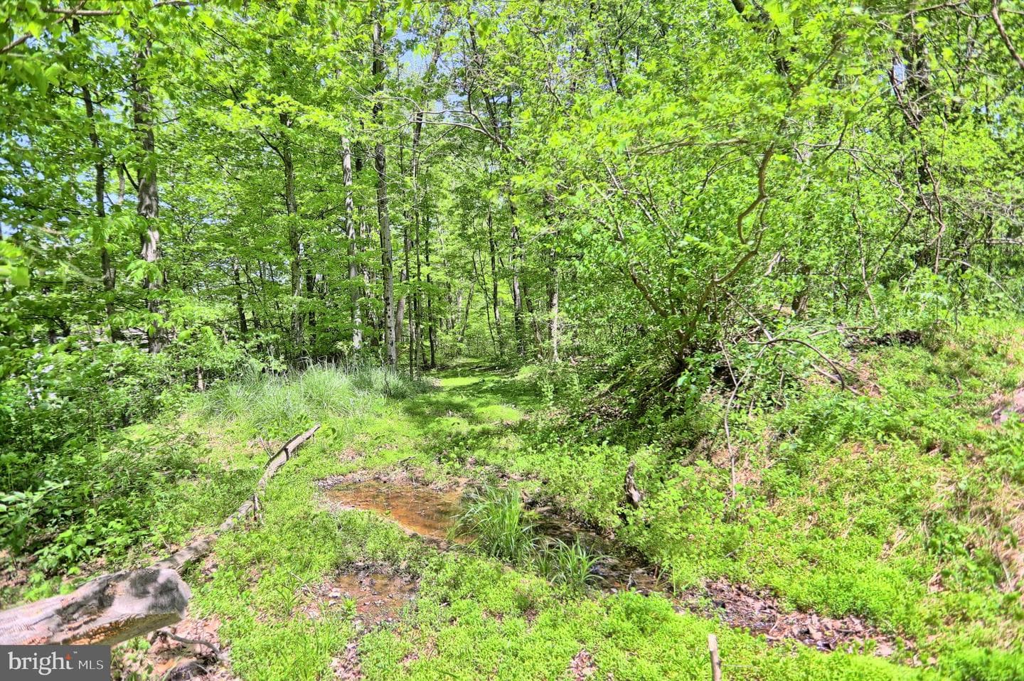 4909 Raccoon Valley Rd photo 77