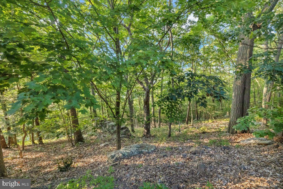 102 Summit Road photo 46