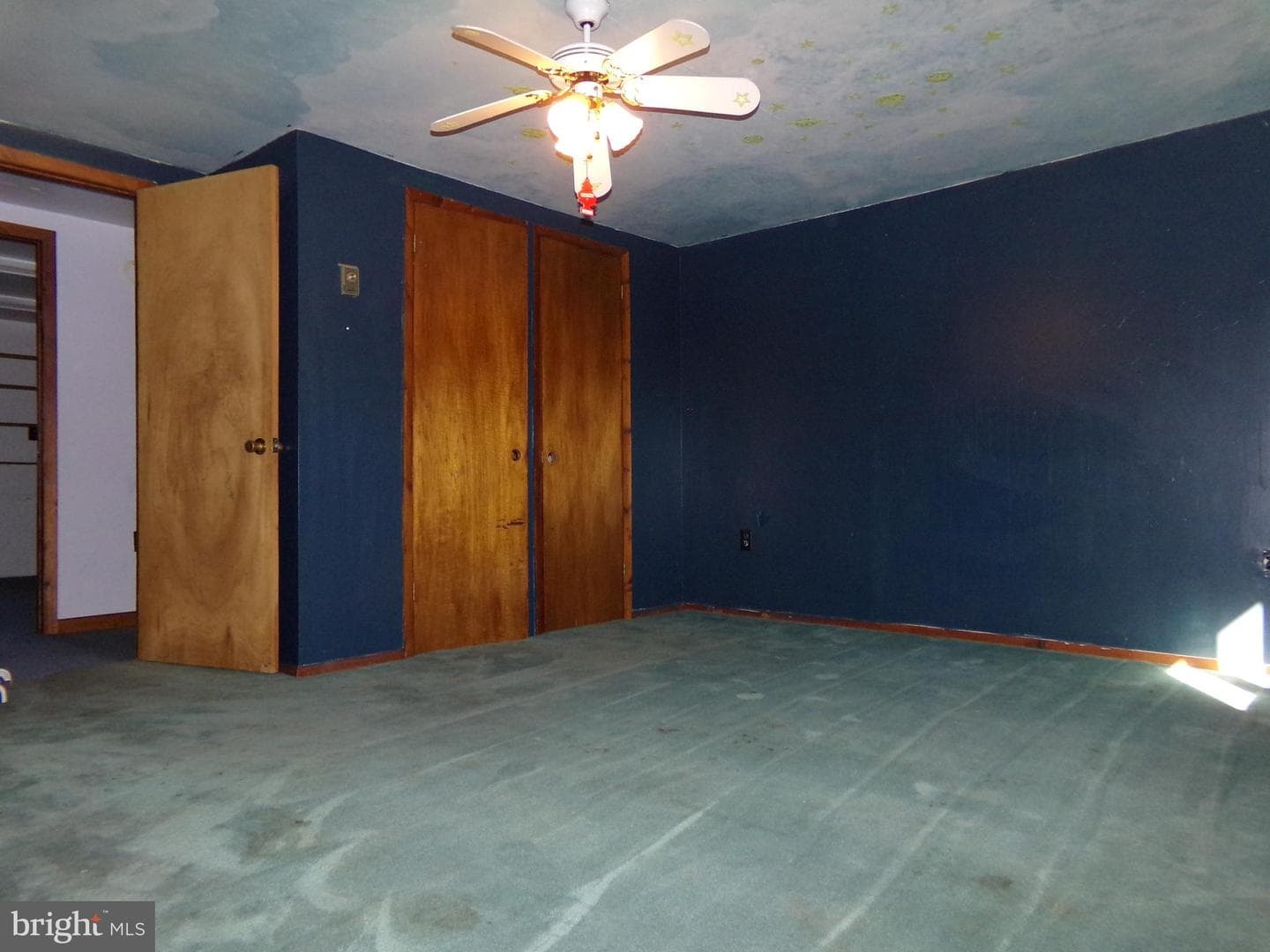 171 Fairview Road photo 16