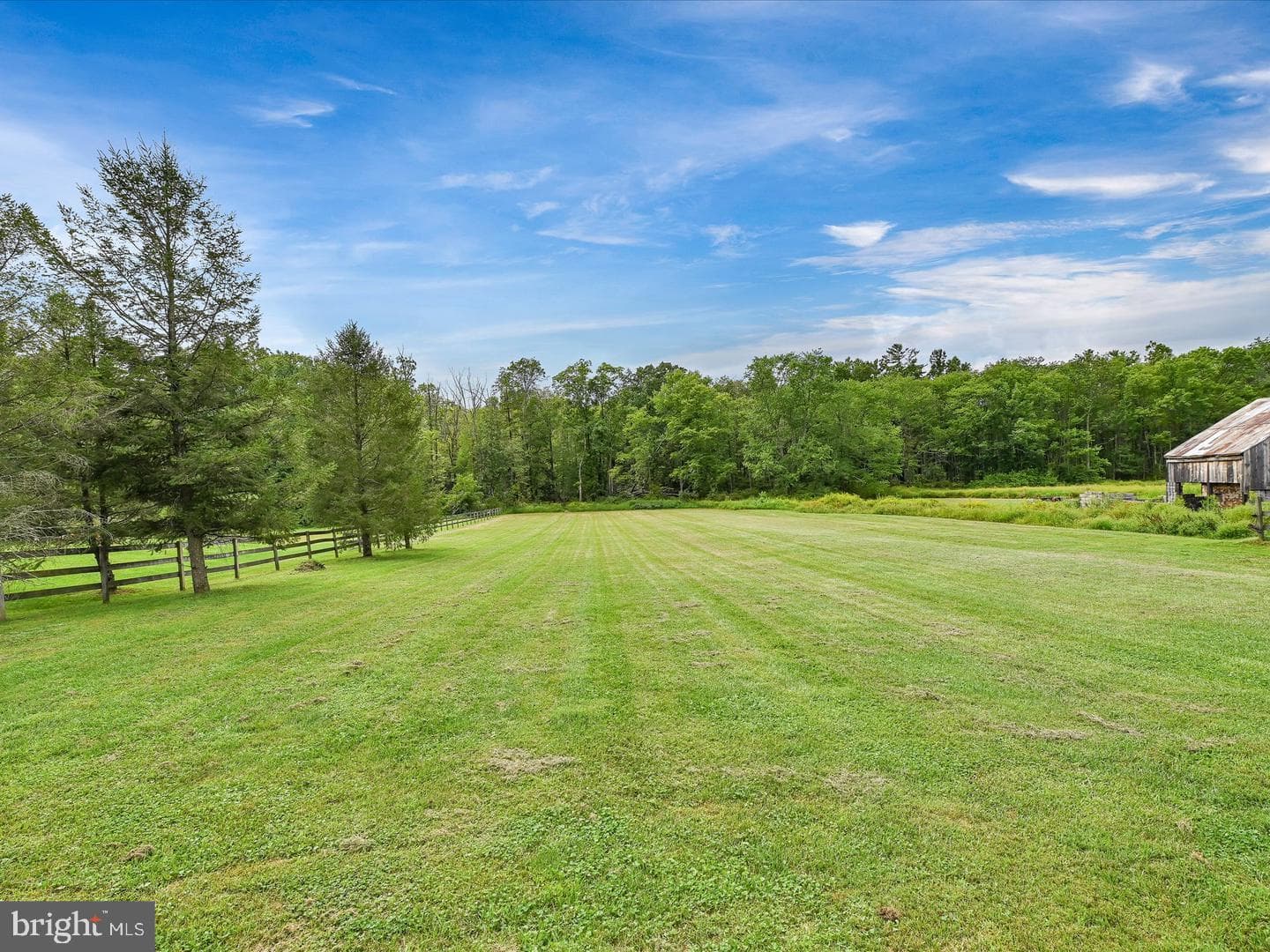 181 Frisbee Road photo 6