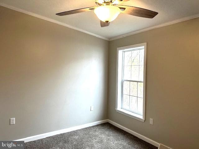 1015 W Race Street photo 10