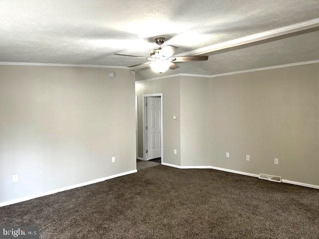 1015 W Race Street photo 4