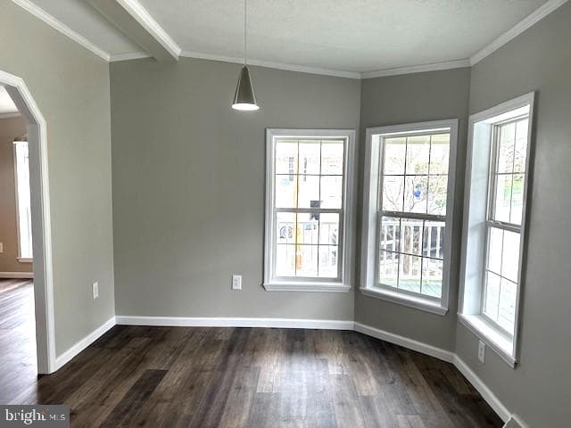 1015 W Race Street photo 5