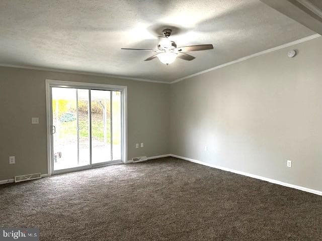 1015 W Race Street photo 6