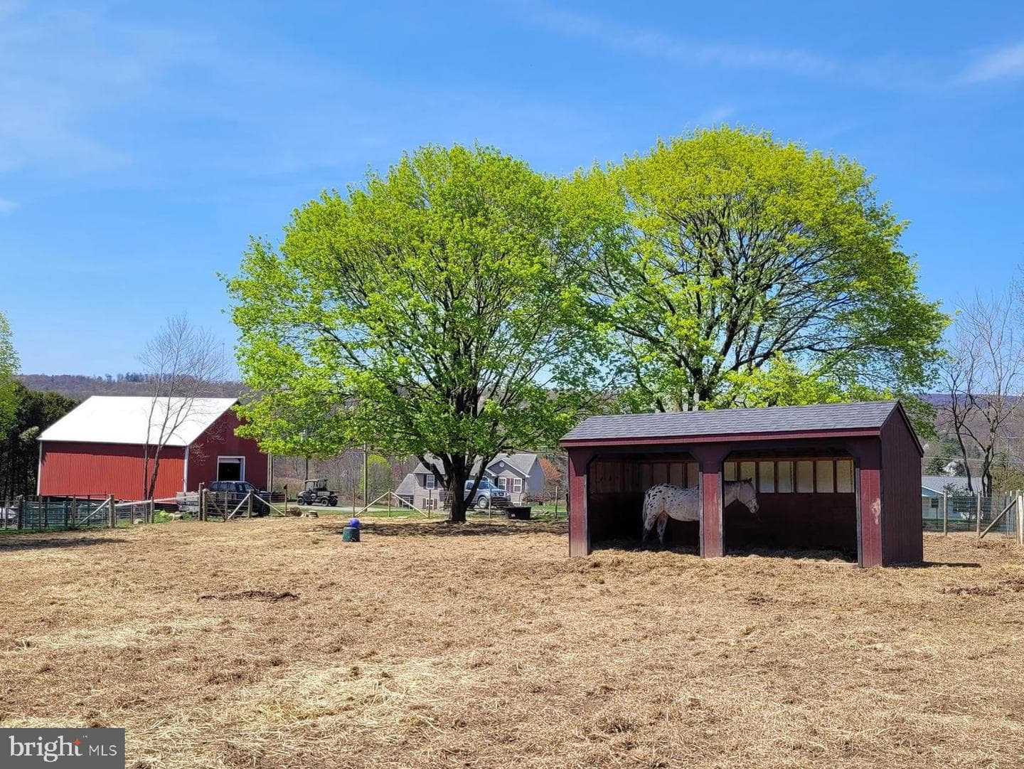 130 Mill Drive photo 22