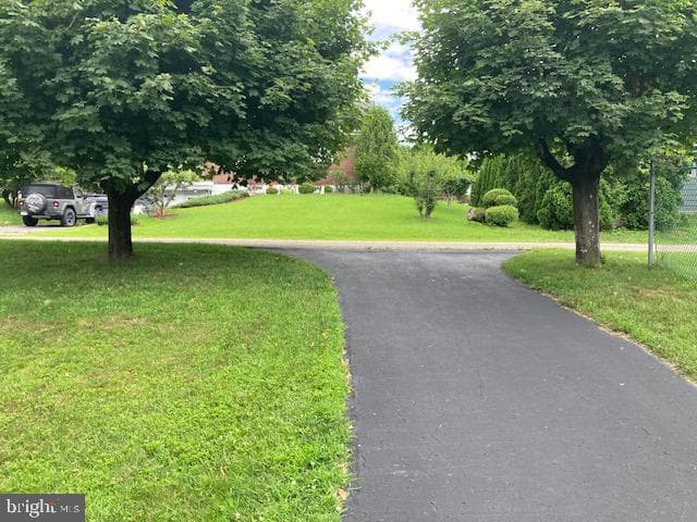 8 Mansure Road photo 4