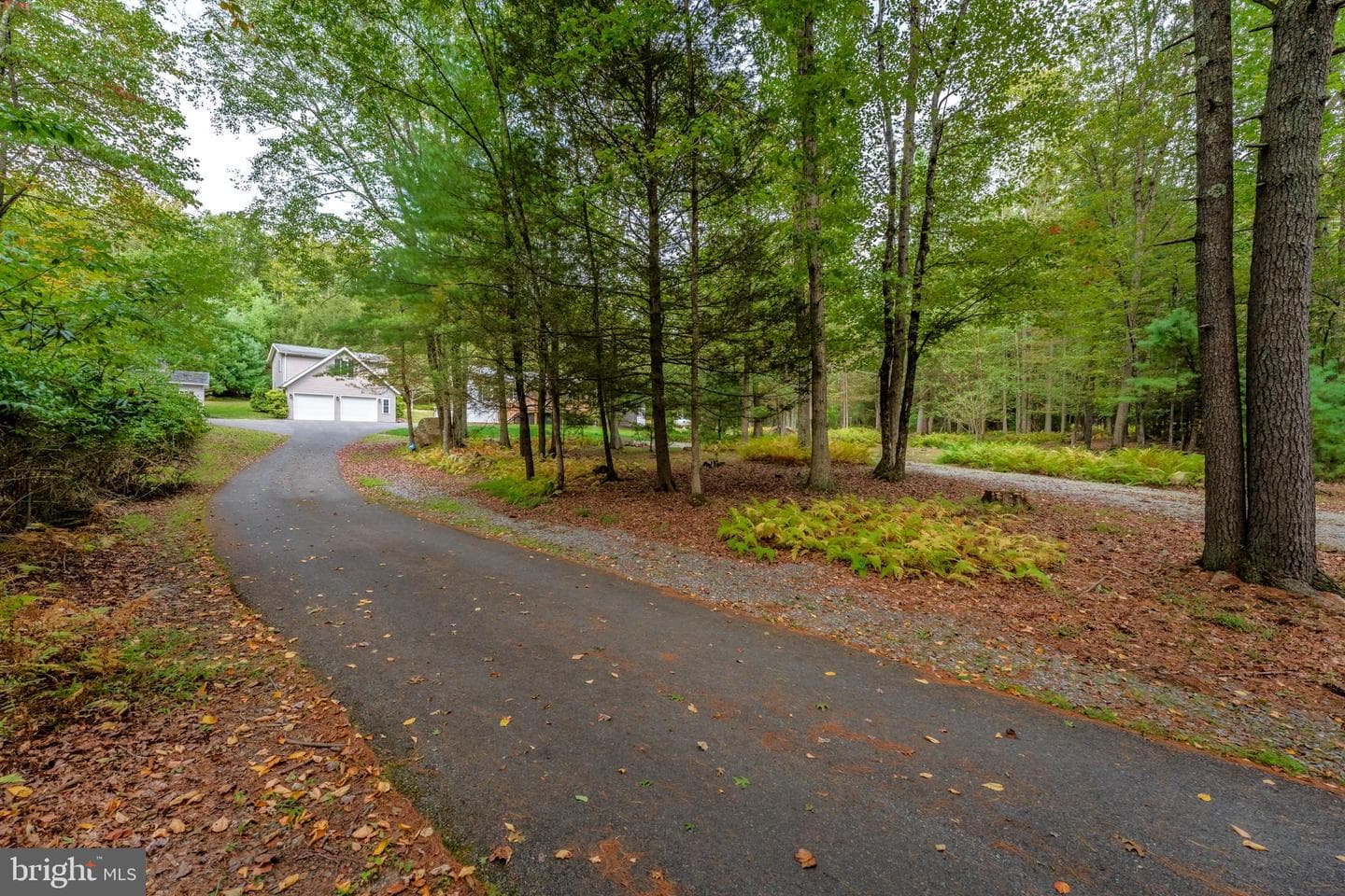 599 Blue Mountain Drive photo 4