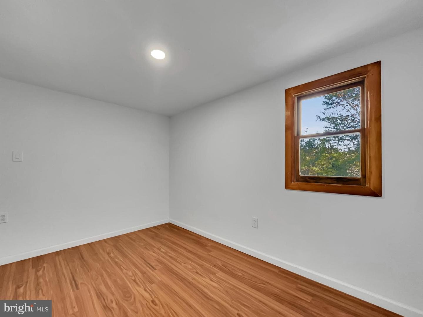 1560 Bunting Street photo 13