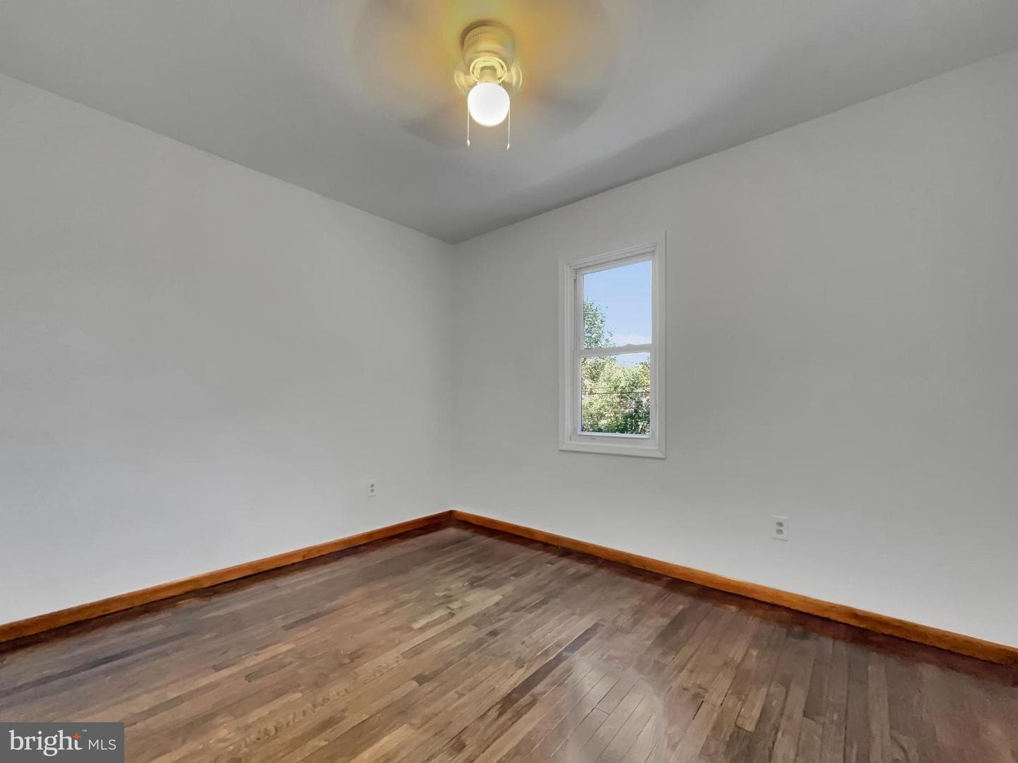 1560 Bunting Street photo 17