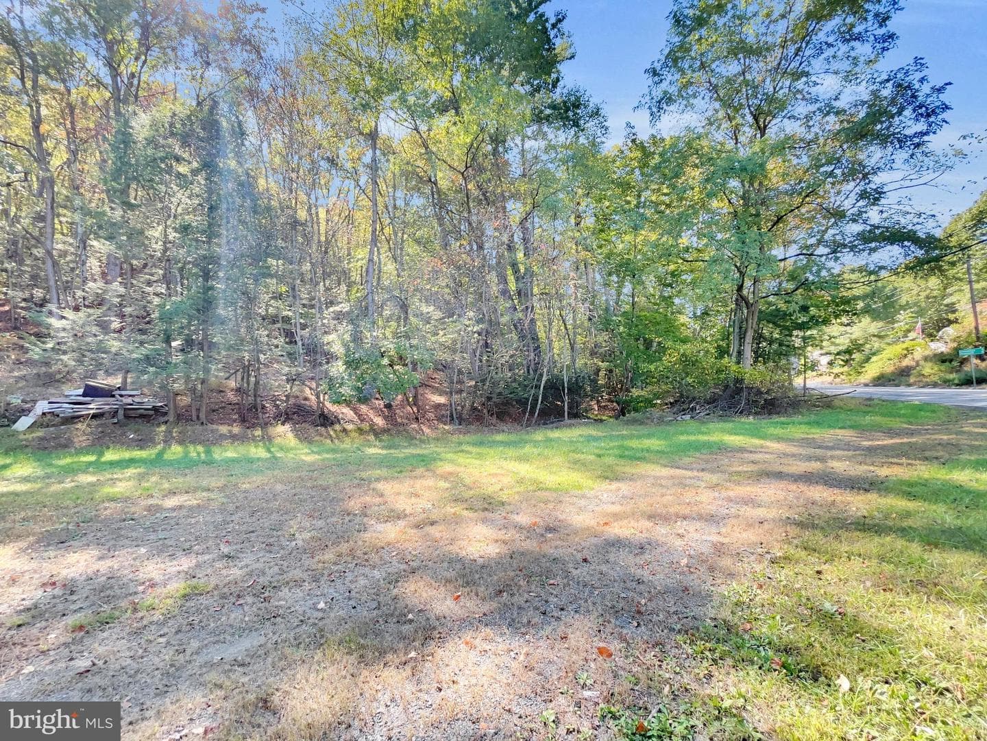 1560 Bunting Street photo 26