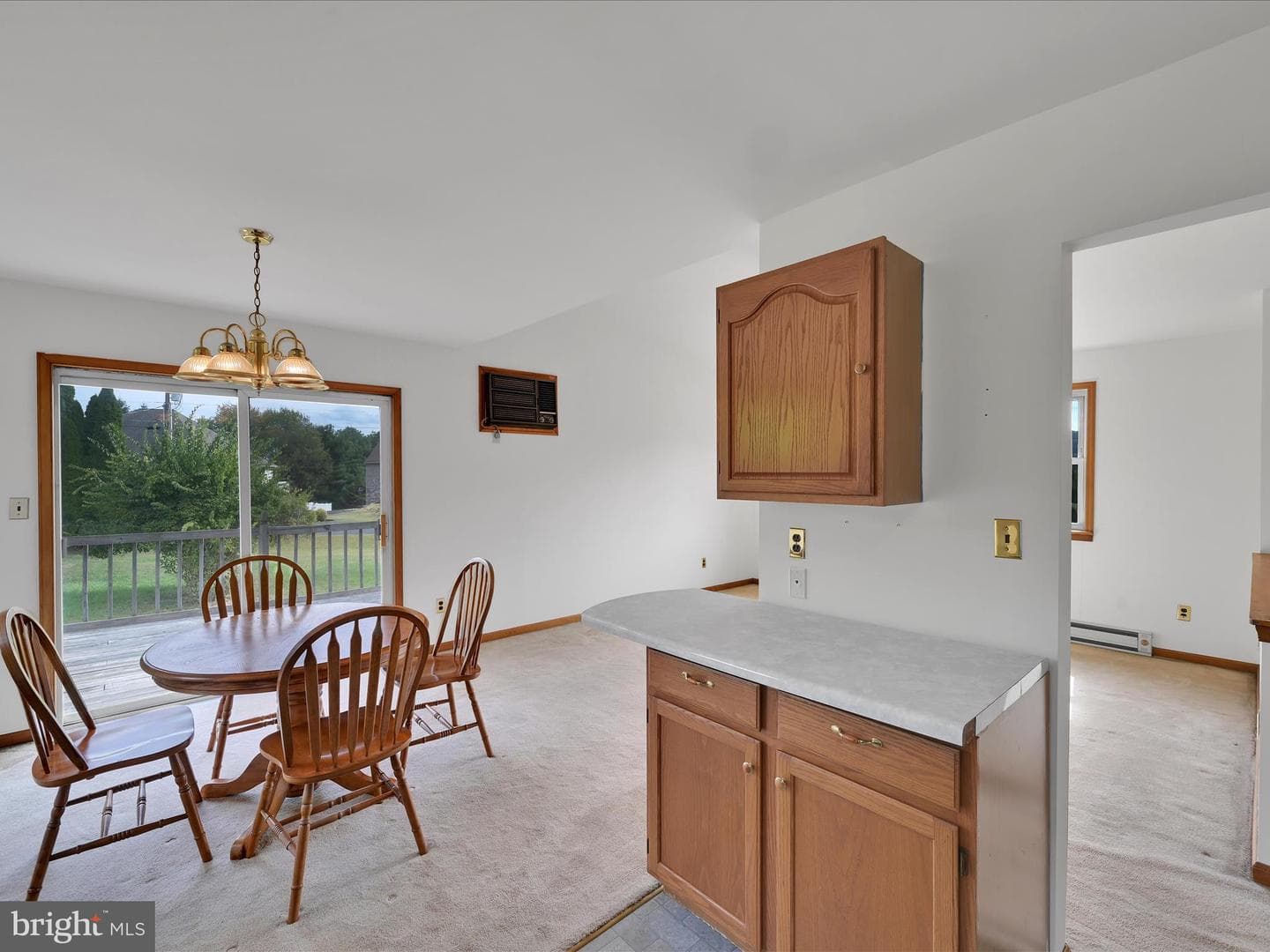 1165 Custer Drive photo 12