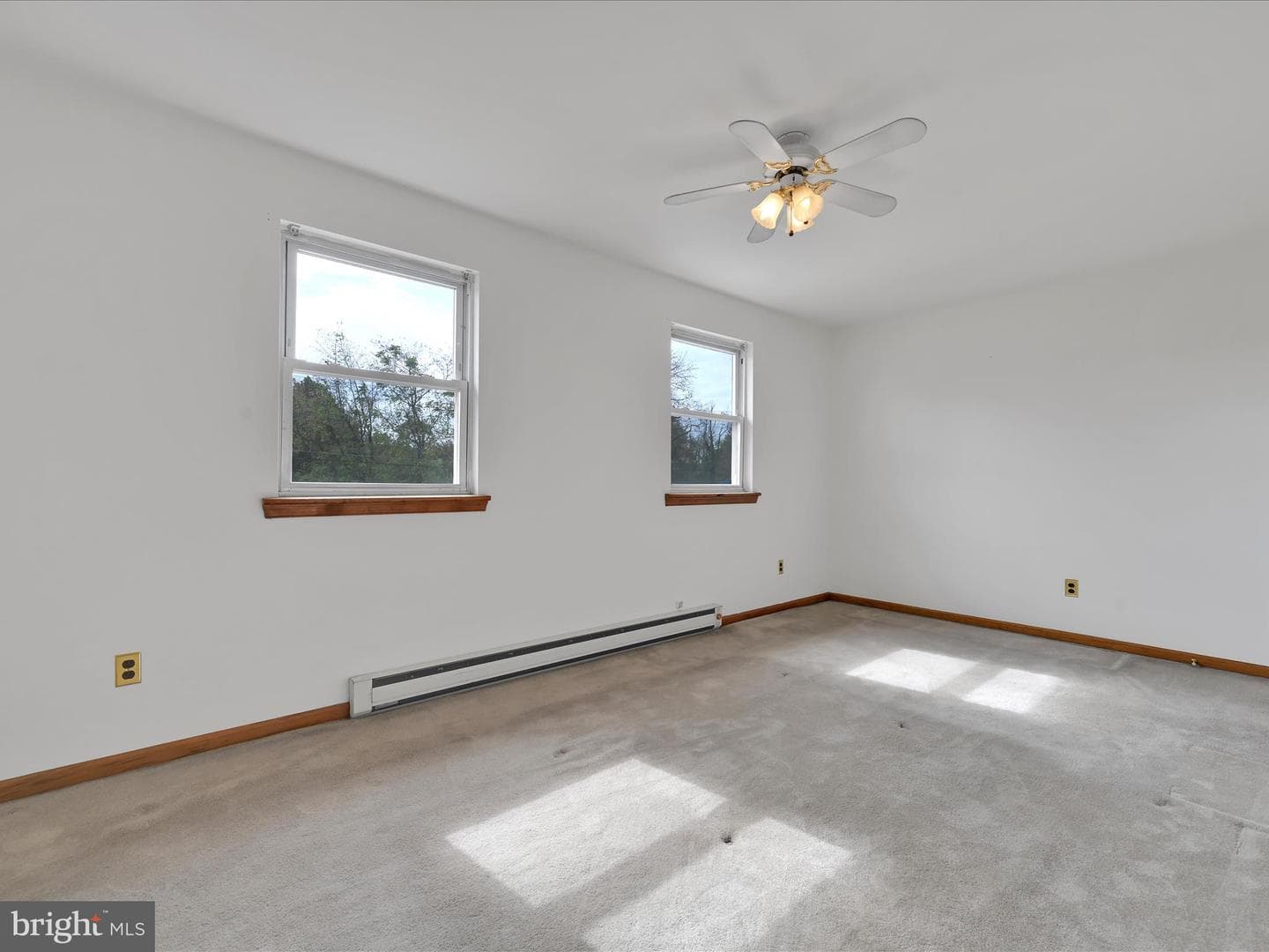 1165 Custer Drive photo 15