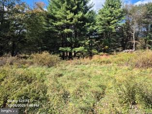 33 Adams Road photo 12