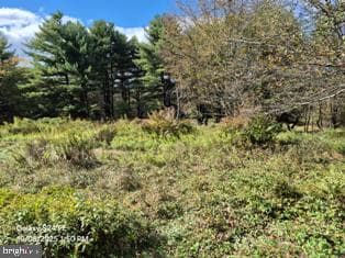 33 Adams Road photo 13