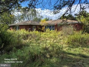 33 Adams Road photo 7