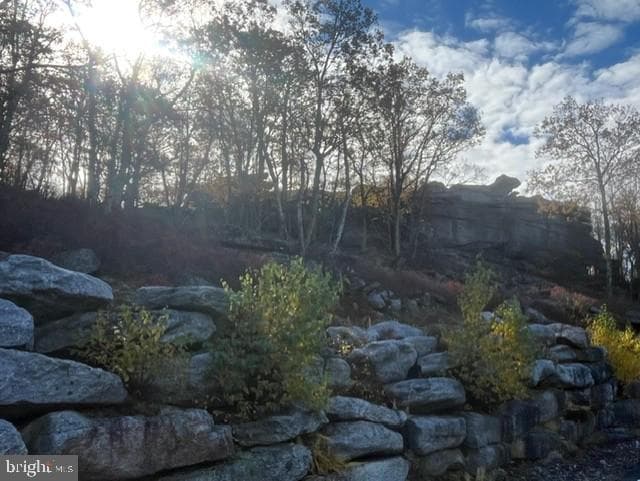 5 Tioga Dr photo 90