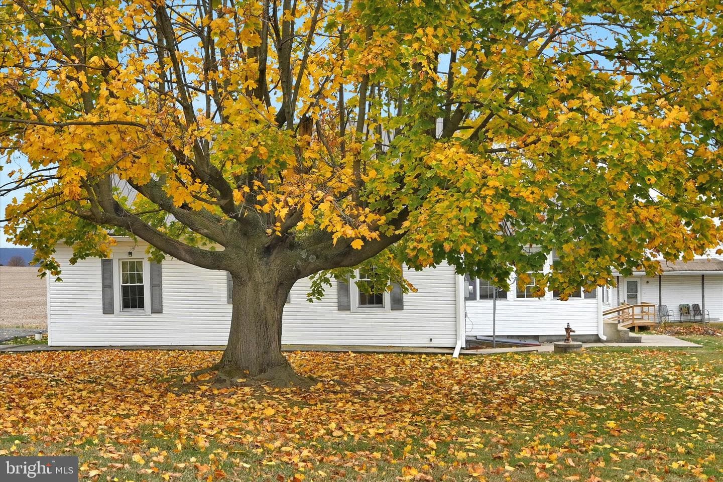 209 Ridge Road photo 37