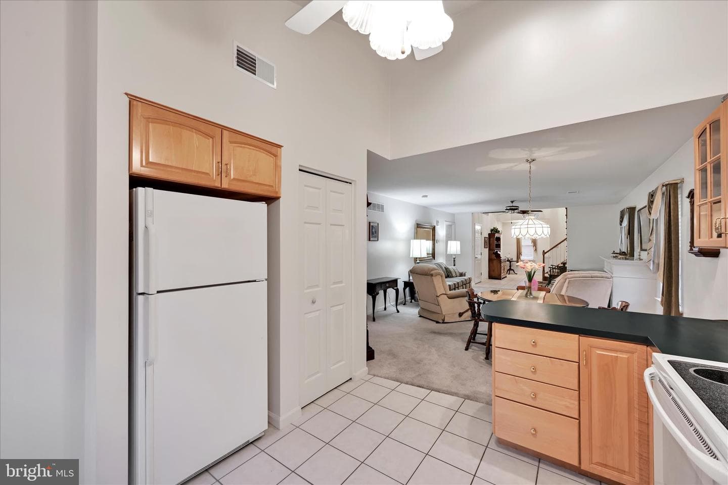 313 Lantern Green Way photo 15