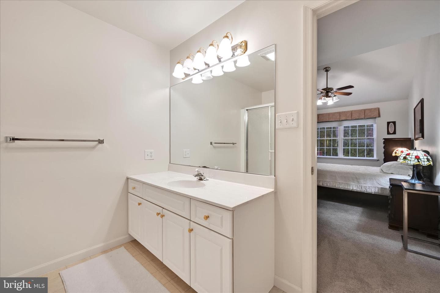 313 Lantern Green Way photo 18
