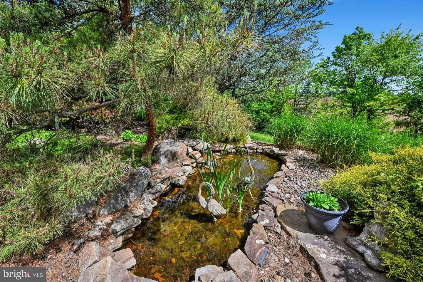 1161 Sunset Dr photo 107