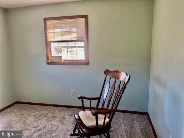 66 Trenton photo 16