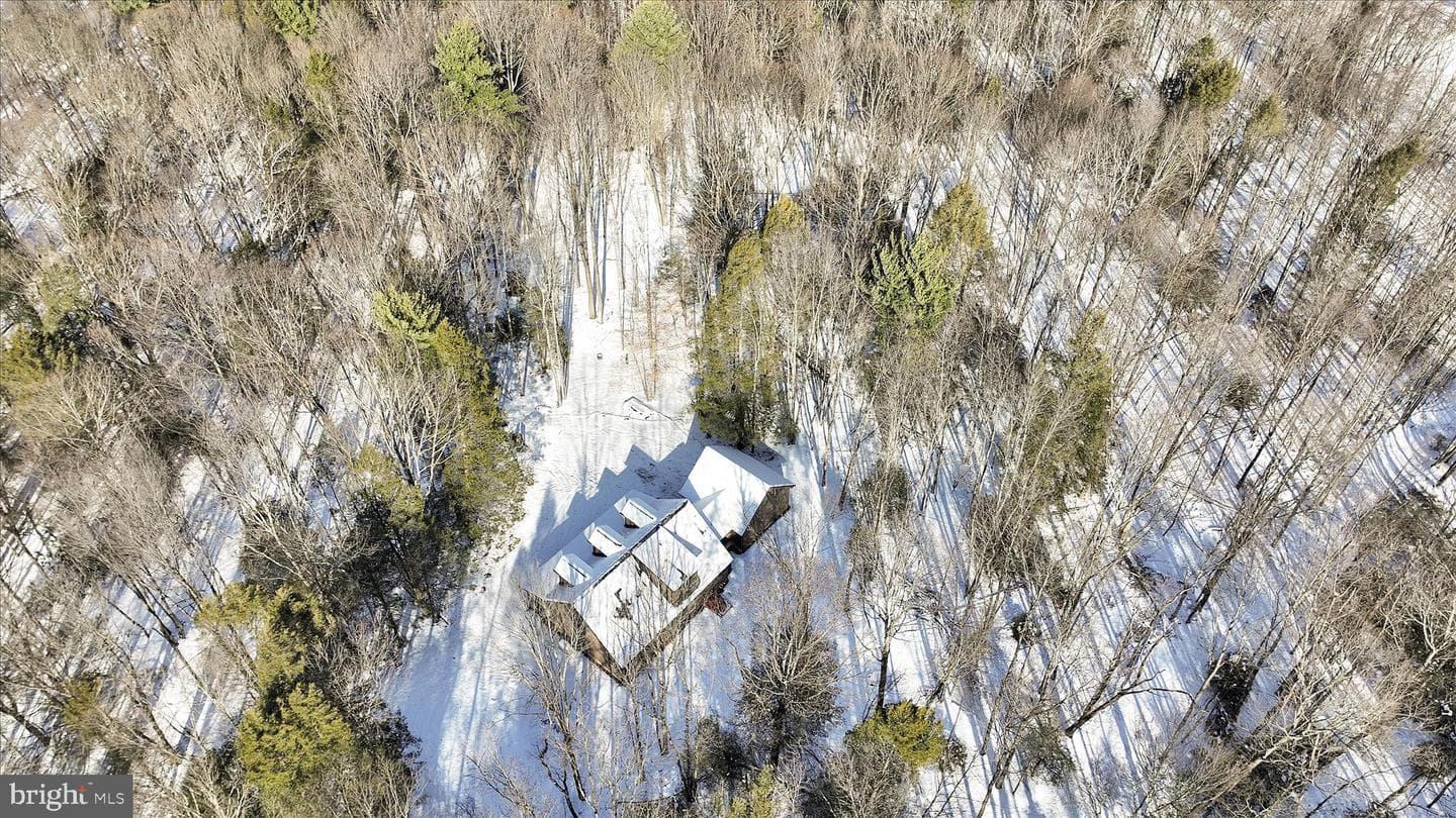 107 Dorset Rd photo 3