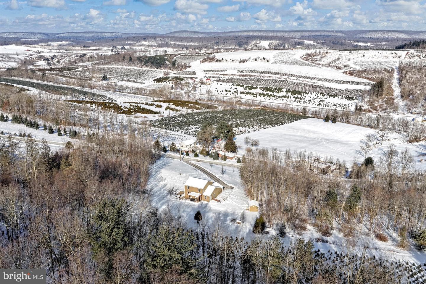 72 Evergreen Drive photo 6