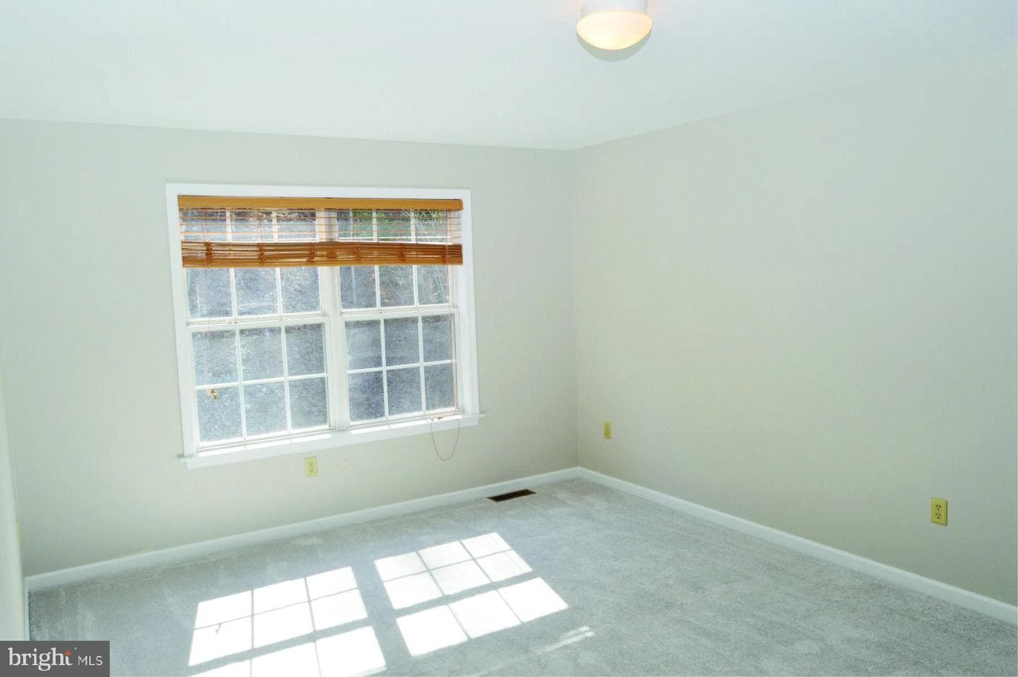 107 Chestnut Ridge Drive photo 23
