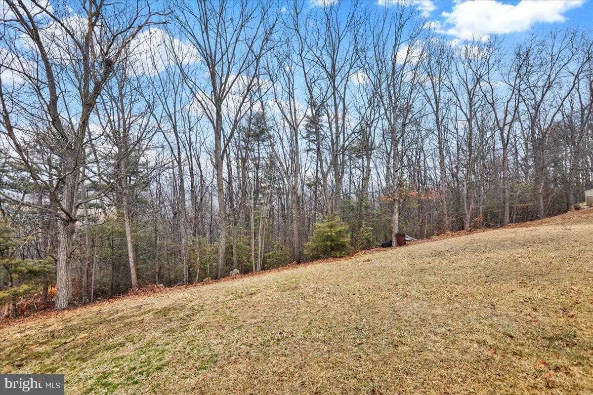 87 Oak Ledge Avenue photo 39