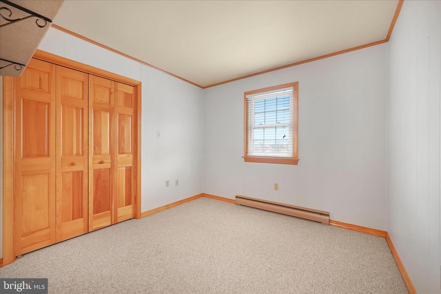 3 Coleman Road photo 26