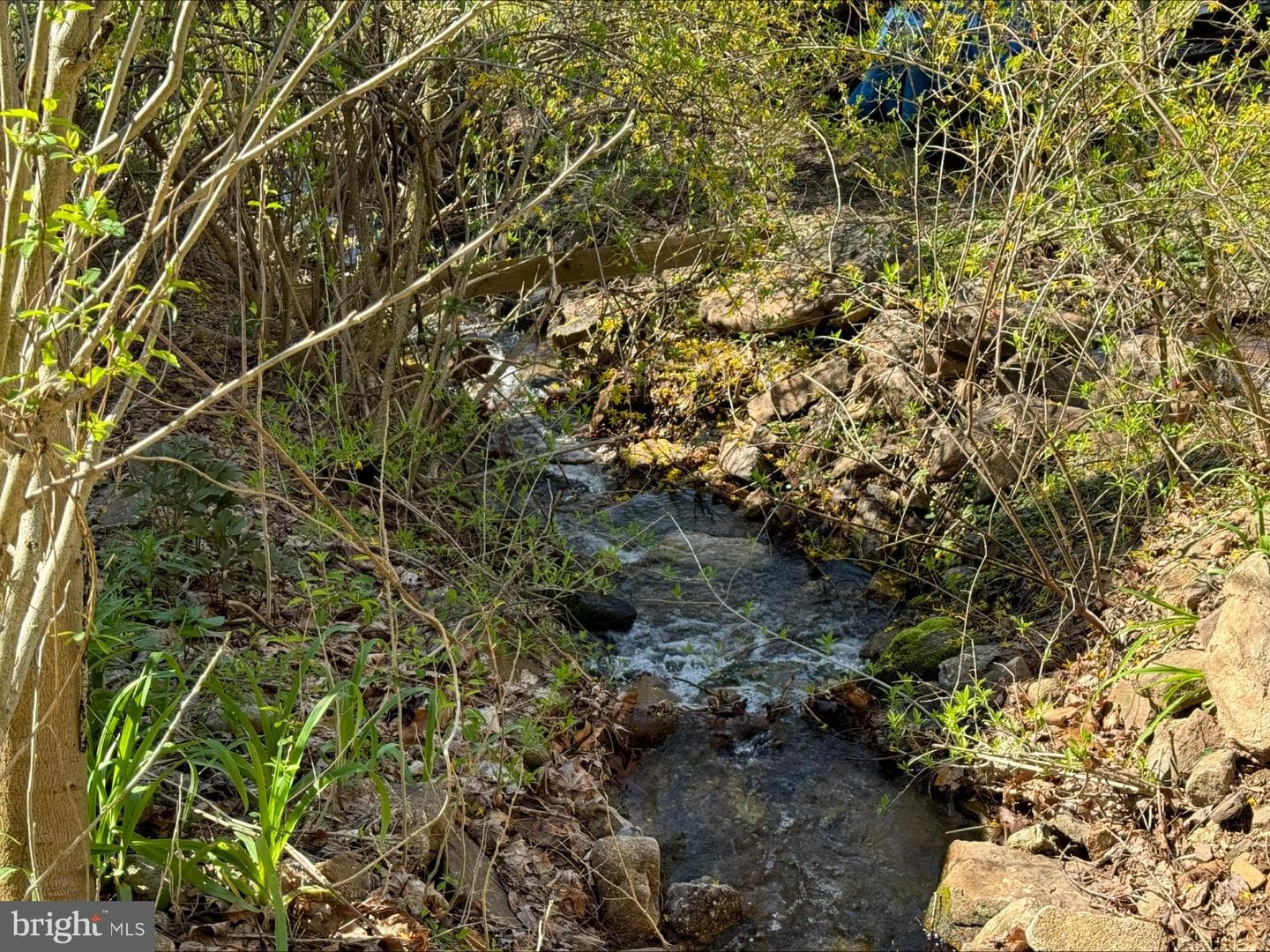 690 High Road photo 16