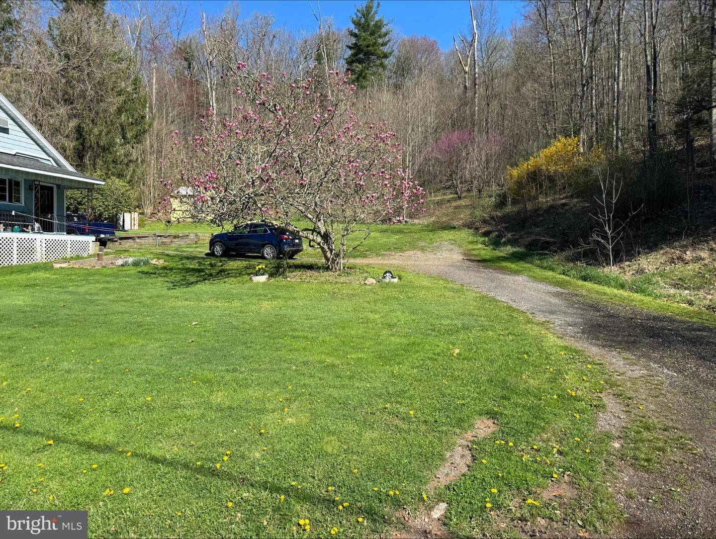 690 High Road photo 24